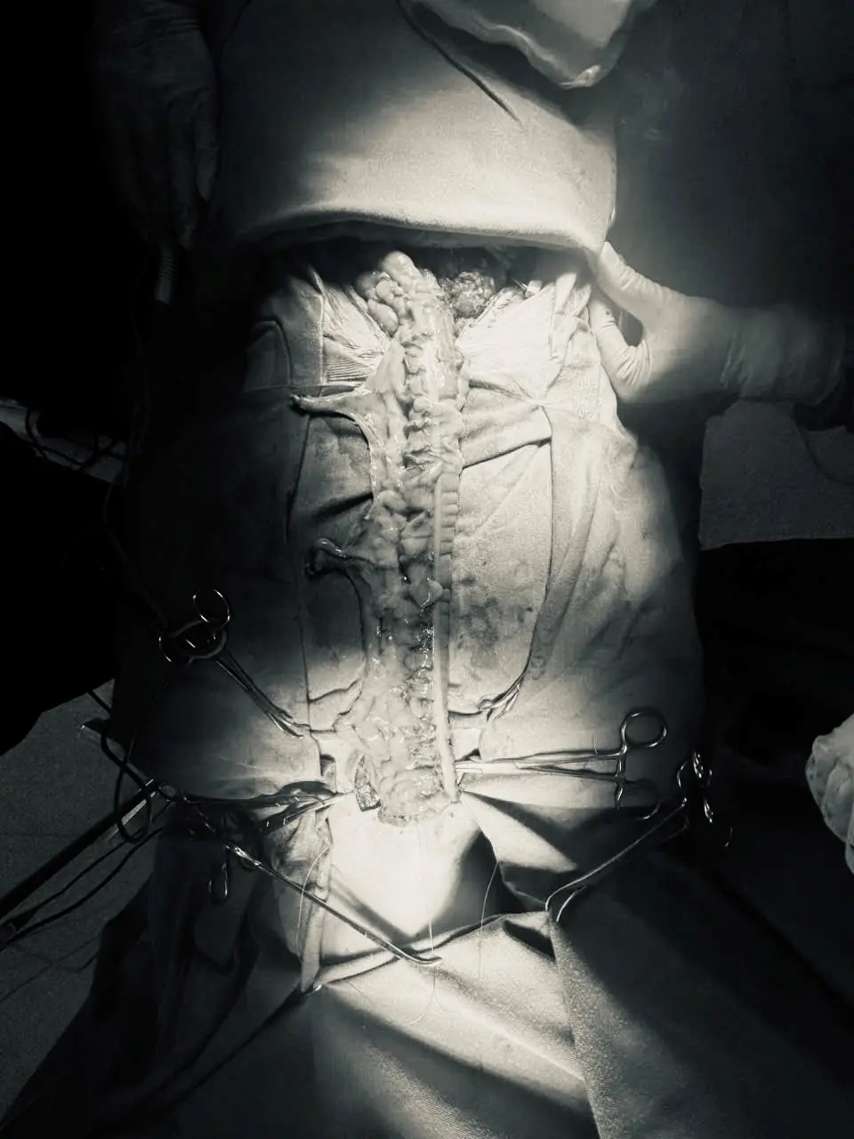 Đài PTTH Hà Nội